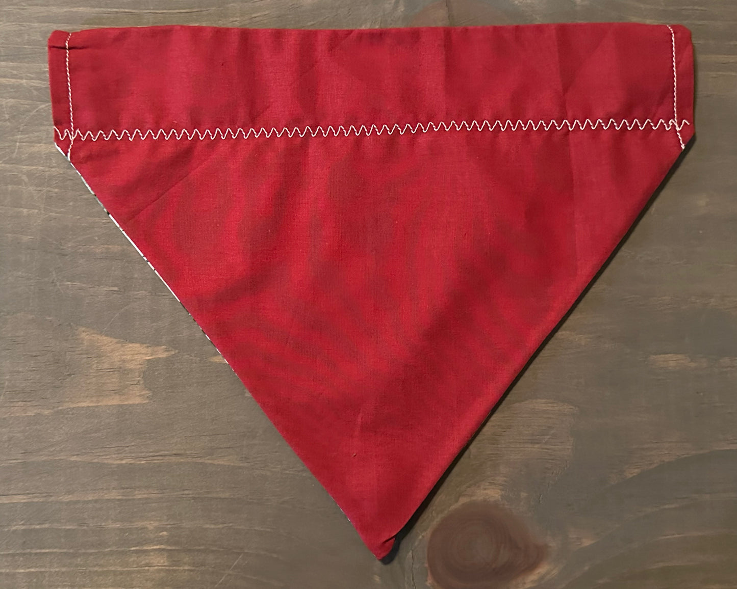 Flowering Desert Over the Collar Bandana