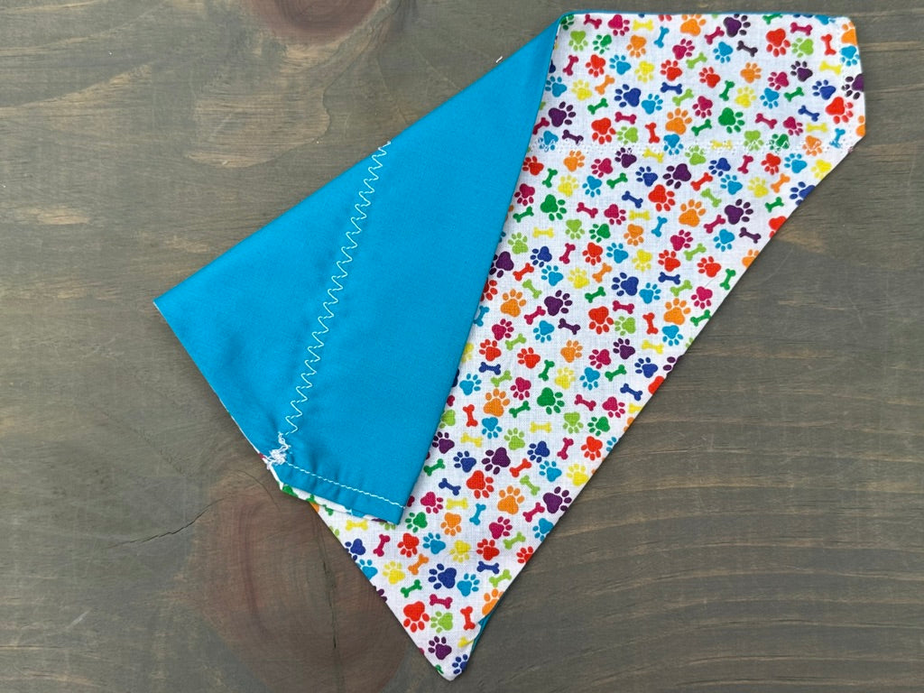 Rainbow Paws & Bones Over the Collar Bandana
