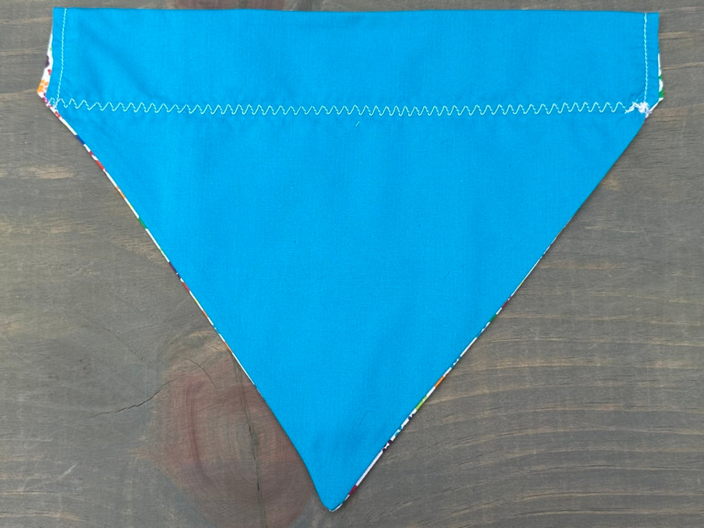 Rainbow Paws & Bones Over the Collar Bandana