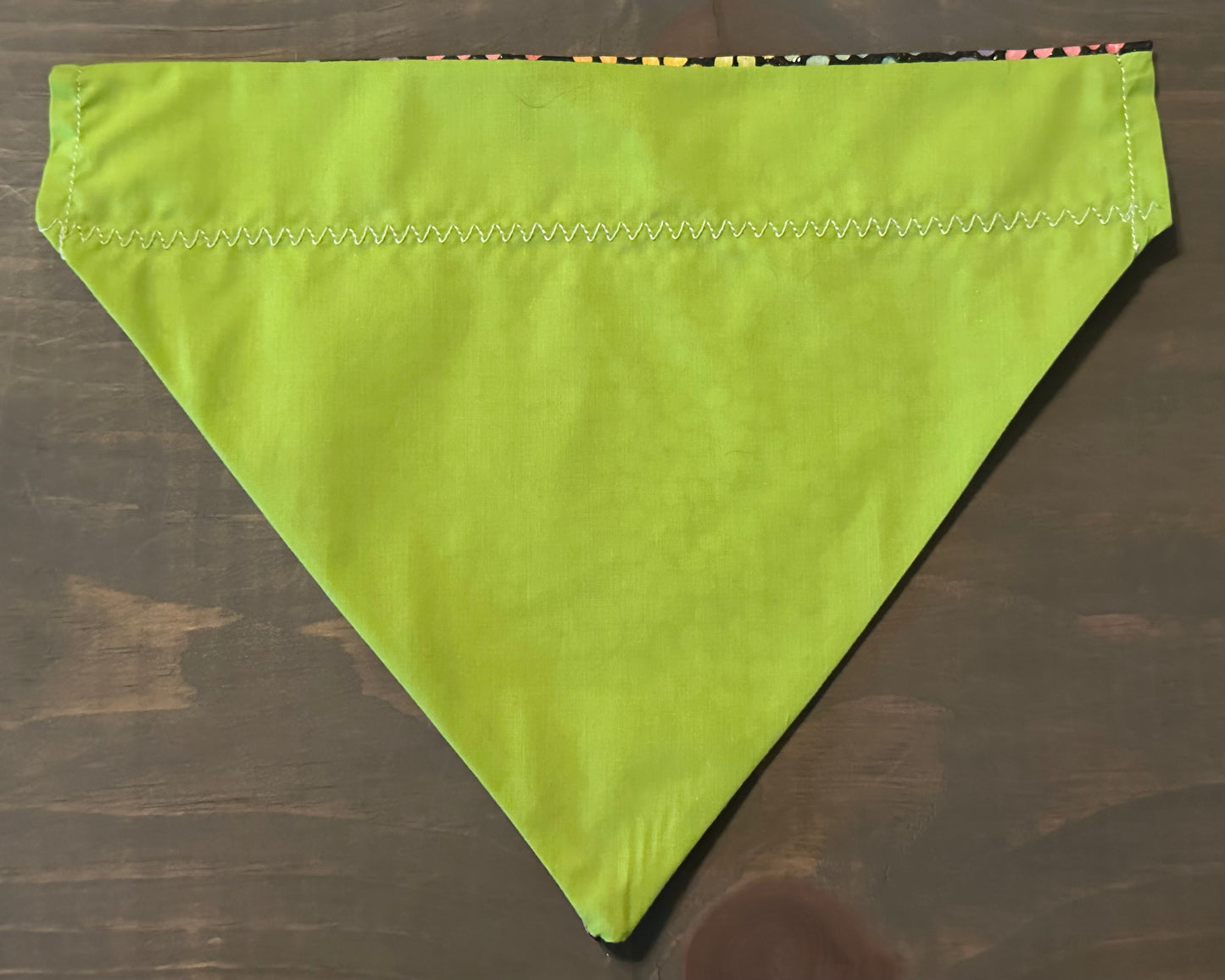 Easter Egg Rainbow Over the Collar Bandana