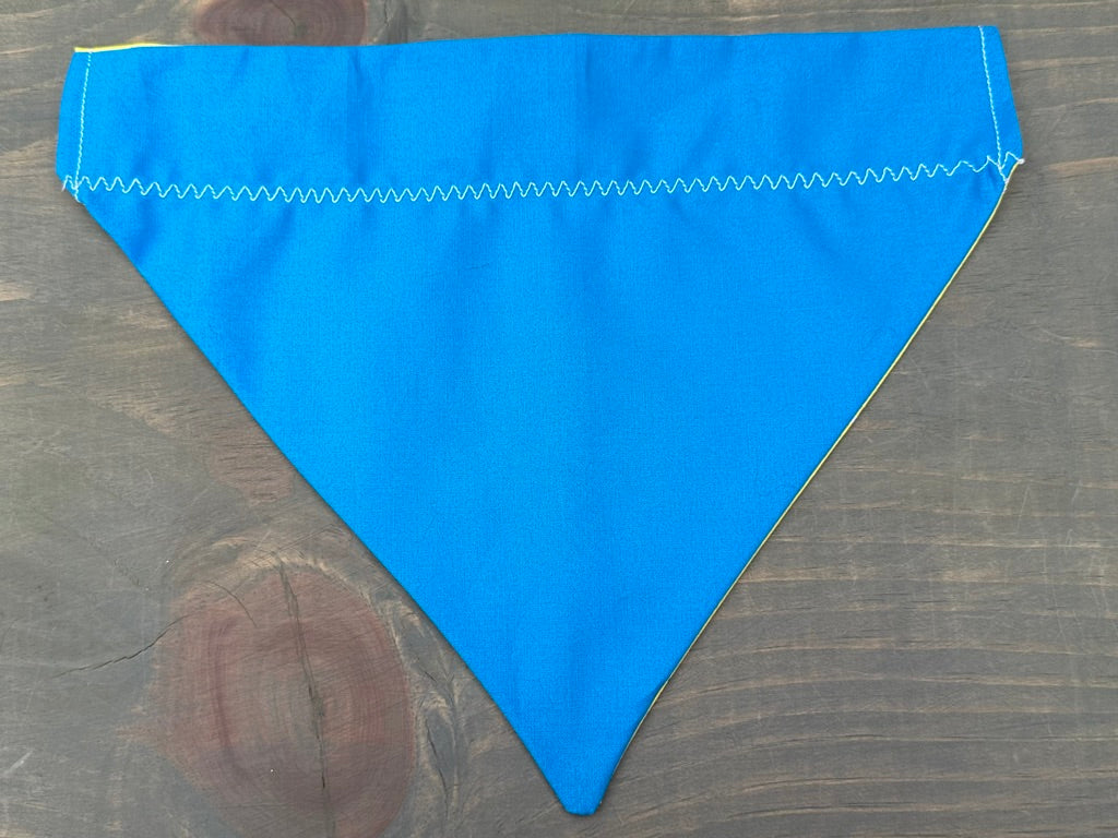 Bright Dots Over the Collar Bandana