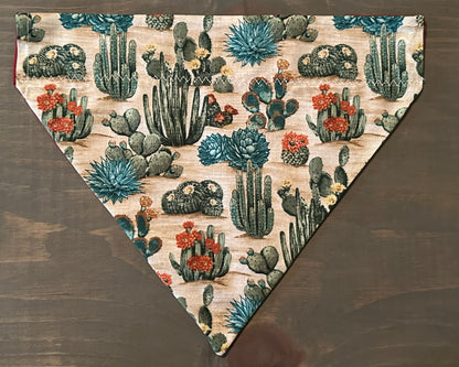 Flowering Desert Over the Collar Bandana