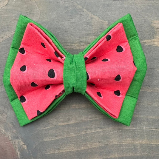 One in a (Water)melon Bow Tie