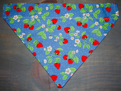 Strawberry Fields Over the Collar Bandana