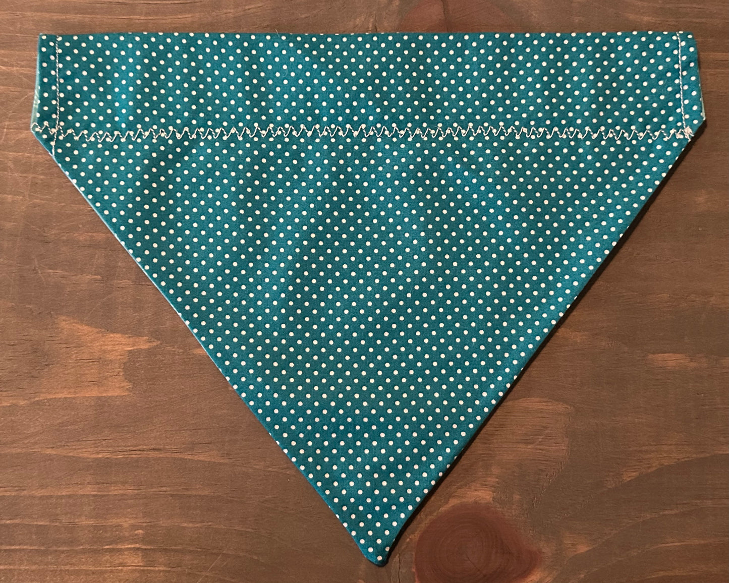 Turquoise Desert Over the Collar Bandana