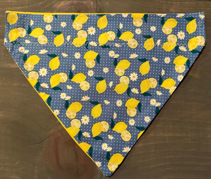 Lemons and Dots Over the Collar Bandana