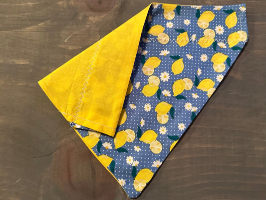 Lemons and Dots Over the Collar Bandana