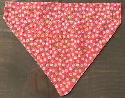 Pink Tiny Daisies Over the Collar Bandana