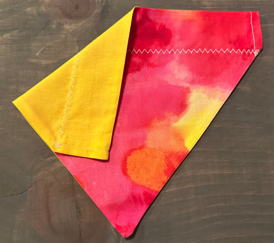 Vibrant Dyes Over the Collar Bandana