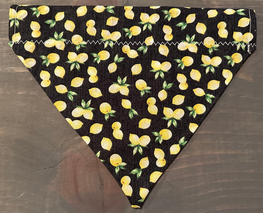 Grove of Lemons Over the Collar Bandana