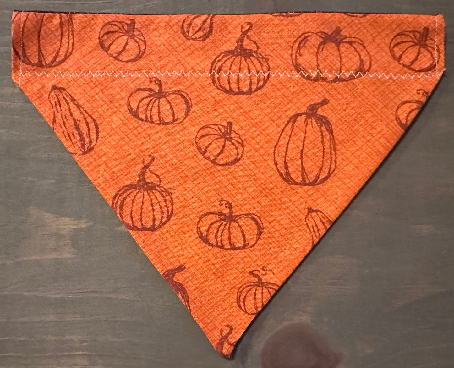 Thanksgiving Dinner Over the Collar Bandana