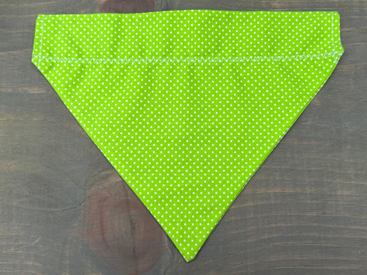 Neon Dots Over the Collar Bandana