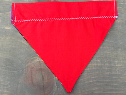 Spicy Serape Over the Collar Bandana