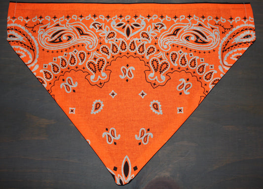 Neon Orange Paisley Over the Collar Bandana