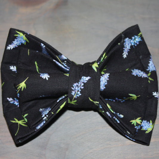 Black and Bluebonnets Bow Tie
